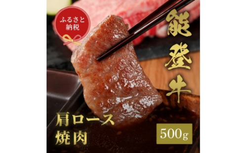 肉【和牛セレブ】能登牛 牛肩ロース 焼肉 500g 肩ロース 黒毛和牛 霜降り ギフト 石川県 能美市 2705695 - 石川県能美市