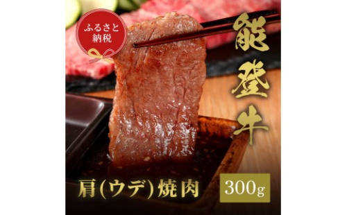 肉【和牛セレブ】能登牛　牛肩（ウデ） 焼肉 300g 黒毛和牛 霜降り ギフト 石川県 能美市 2705697 - 石川県能美市