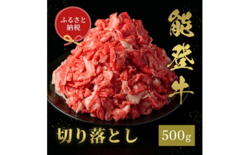 肉【和牛セレブ】能登牛 切り落とし 500g 黒毛和牛 霜降り ギフト 石川県 能美市 2705708 - 石川県能美市