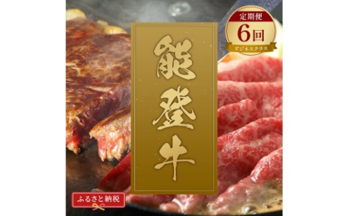 肉【定期便全6回】【和牛セレブ】能登牛 定期便「ビジネスクラス」特選 しゃぶしゃぶ すき焼き 焼肉 ステーキ ギフト 石川県 能美市 2705710 - 石川県能美市