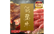 肉【定期便全6回】【和牛セレブ】能登牛 定期便「ビジネスクラス」特選 しゃぶしゃぶ すき焼き 焼肉 ステーキ ギフト 石川県 能美市