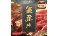 肉【定期便全6回】【和牛セレブ】能登牛 定期便「ファーストクラス」特選 しゃぶしゃぶ すき焼き 焼肉 ステーキ ギフト 石川県 能美市
