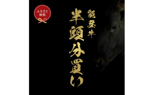 肉【和牛セレブ】能登牛 半頭買い（24分割配送）2個口 黒毛和牛 霜降り ギフト 石川県 能美市 2705717 - 石川県能美市