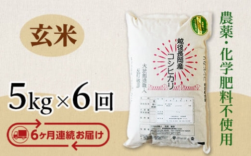 E1-15【6ヶ月連続お届け】新潟県長岡産コシヒカリ玄米5kg