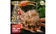 【2026年11月発送】特撰　松葉がに（なま）【訳あり】700g超の大きいサイズ　食べ応えあり　特大1杯【期間限定】_T2600463　