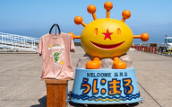 うにまるTシャツ (奥尻MAPデザイン) ピンク XLサイズ  奥尻島 ゆるキャラ ご当地 マスコット キャラクター うにまる メンズ レディース ユニセックス ご当地T キャラT Tシャツ 観光マップ マップ プリント スーベニア 半袖 | 北海道 奥尻町 送料無料