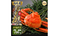 【2026年11月発送】特撰　松葉がに（茹）【訳あり】700g超の大きいサイズ　食べ応えあり　特大1杯【期間限定】_T2600464　
