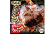 【2026年11月発送】特撰　松葉がに（なま）【ブランドタグ付き】600g超の大きいサイズ　食べ応えあり　特大1杯【期間限定】_T2600465