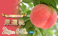 [2027年発送★先行予約][土日祝発送]産地厳選日本一笛吹市の桃2kg以上(6玉〜10玉) 106-007-sku02-27y[10月より寄附金額改定予定]