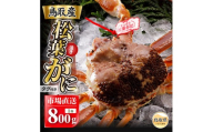 【2026年11月発送】特撰　松葉がに（なま）【ブランドタグ付き】800g超の大きいサイズ　食べ応えあり　特大1杯【期間限定】_T2600468　