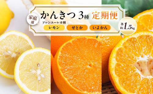 【 かんきつ 3種 定期便 】アレンユーレカ種 レモン ・ せとか ・ いよかん 各約1.5kg　ご家庭用 サイズお任せ 旬 農園直送 産地直送 フルーツ 果物 くだもの 柑橘 愛媛県 東温市 2706149 - 愛媛県東温市
