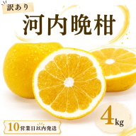 [10営業日以内発送]訳あり 河内晩柑 ばんかん 約 4kg 不揃い 大小ミックス お試し 少なめ 傷あり 柑橘 かんきつ フルーツ 果物 くだもの すぐ届く おいしい 甘い 厳選 愛媛 みかん 蜜柑 Mikan 愛南 ご当地 ブランド 野菜 サラダ ピール ゼリー お菓子 お中元 お盆 家族 デザート マルエム直販 愛媛県 愛南町