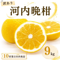 [10営業日以内発送]訳あり 河内晩柑 ばんかん 約 9kg 不揃い 大小ミックス 傷あり 柑橘 かんきつ フルーツ 果物 くだもの すぐ届く 早い 甘い さっぱり 厳選 愛媛 みかん 蜜柑 Mikan 愛南 ご当地 ブランド 野菜 サラダ ピール ゼリー お菓子 デザート マルエム直販 (なくなり次第終了) 愛媛県 愛南町