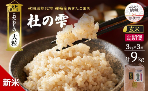 新米 先行予約 令和8年産 定期便 [玄米] 秋田県産 あきたこまち 3kg  全3回 毎月お届け「杜の雫」こだわりの大粒 種梅産【お米 たねうめ 玄米 精米 ご飯 ブランド米 大粒 おにぎり 産地直送 おこめ ごはん】 2706296 - 秋田県能代市