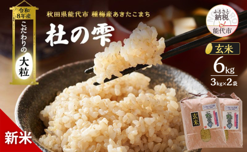 新米 先行予約 令和8年産 [玄米]秋田県産 あきたこまち 6kg(3kg×2)「杜の雫」こだわりの大粒 種梅産【お米 たねうめ 玄米 精米 ご飯 ブランド米 大粒 おにぎり 産地直送 おこめ ごはん】 2706307 - 秋田県能代市