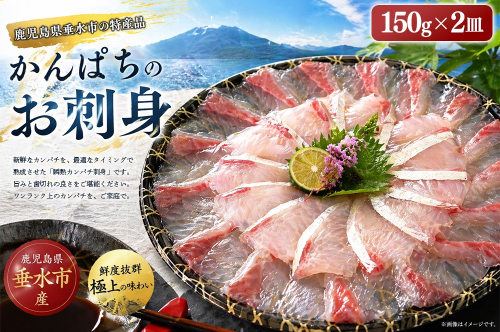 A1-7616／瞬熟かんぱち刺身 2皿（1皿/17cm皿・150g） 2706469 - 鹿児島県垂水市