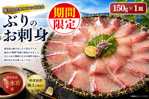 W-7610／【冬季限定】瞬熟ぶり刺身 1皿（17cm皿・150g） 2706472 - 鹿児島県垂水市