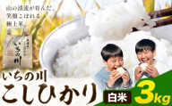 米 こめ コメ 令和7年産 いちの川 コシヒカリ 白米 3kg 市野川米製作所 [30日以内に出荷予定(土日祝除く)]米 ご飯 こしひかり