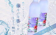 種子島 芋 焼酎 「 碧の手紙 」 500ml 2本　NFN685【350pt】 / いも焼酎 芋焼酎 本格焼酎 本格芋焼酎 本格いも焼酎 お湯割り ロック 水割り 25度 紫いも 紫芋 フルーティー 清涼感 カクテル 熟成 減圧蒸留