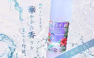種子島 芋 焼酎 「 碧の手紙 」 500ml 1本　NFN684【200pt】 / いも焼酎 芋焼酎 本格焼酎 本格芋焼酎 本格いも焼酎 お湯割り ロック 水割り 25度 紫いも 紫芋 フルーティー 清涼感 カクテル 熟成 減圧蒸留