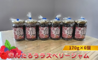 きんたろうラズベリージャム　170g×6個【 ジャム 神奈川県 山北町 】