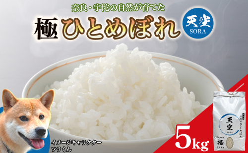 宇陀の自然が育てた 天空【sora】極 ひとめぼれ 5kg｜特別栽培米・奈良県宇陀産 白米 2707201 - 奈良県宇陀市