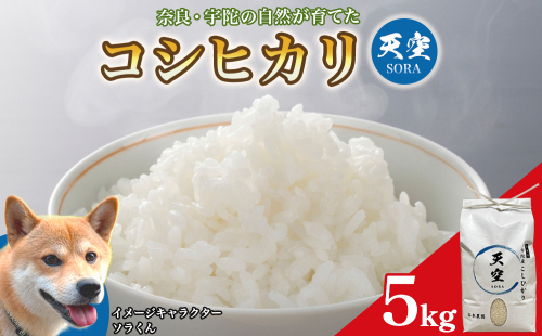 宇陀の自然が育てた 天空【sora】コシヒカリ 5kg｜奈良県宇陀産 白米 2707227 - 奈良県宇陀市