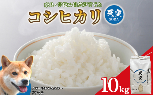 宇陀の自然が育てた 天空【sora】コシヒカリ 10kg｜奈良県宇陀産 白米 2707228 - 奈良県宇陀市