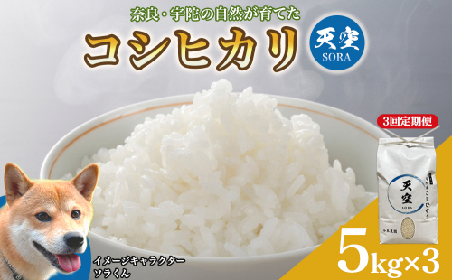 宇陀の自然が育てた 天空【sora】コシヒカリ 定期便 5kg×3回｜奈良県宇陀産 白米 2707229 - 奈良県宇陀市