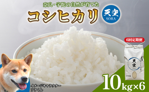 宇陀の自然が育てた 天空【sora】コシヒカリ 定期便 10kg×6回｜奈良県宇陀産 白米 2707234 - 奈良県宇陀市