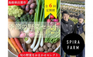 【隔月お届け・全6回定期便】季節の野菜セット10～12品目《栽培期間中 農薬・化学肥料不使用》出雲の畑から旬野菜をお届け［出雲 野菜セット おまかせ 詰め合わせ 送料無料 ふるさと納税］