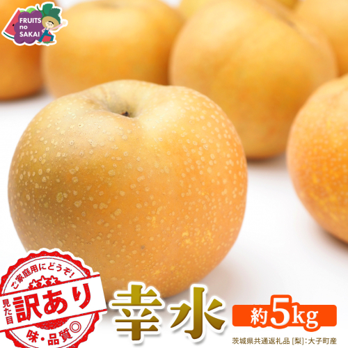 ＜ 訳あり ＞ 幸水 約5kg 【2026年8月より発送開始】（茨城県共通返礼品 [梨]：大子町産） ご家庭用 フルーツ なし ナシ 和梨  梨 わけあり 果実 旬のフルーツ お取り寄せ くだもの 果物 みずみずしい [FC74-NT] 2707485 - 茨城県つくばみらい市