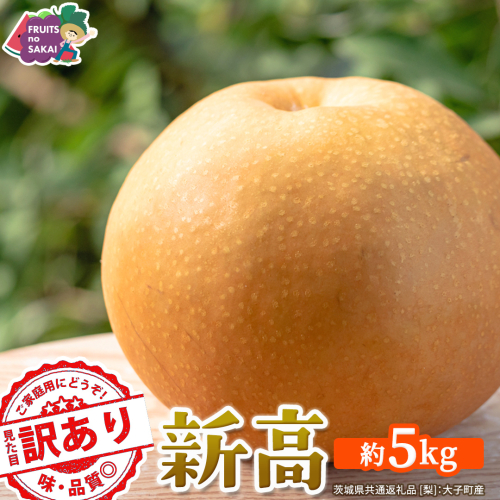 ＜ 訳あり ＞ 新高 約5kg 【2026年10月より発送開始】（茨城県共通返礼品 [梨]：大子町産） ご家庭用 フルーツ なし ナシ 和梨  梨 わけあり 果実 旬のフルーツ お取り寄せ くだもの 果物 みずみずしい [FC77-NT] 2707486 - 茨城県つくばみらい市