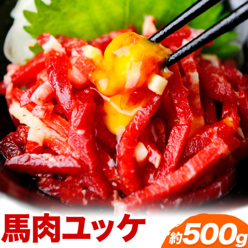 馬刺し 熊本 人気の 馬肉ユッケ たっぷり 500g 株式会社利他フーズ《60日以内に出荷予定(土日祝除く)》 ユッケ 海外産 国内肥育 冷凍 生食用 肉 馬肉 ふるさと納税馬刺し 熊本県 津奈木町 送料無料 馬刺 ばさし 名物 2707508 - 熊本県津奈木町