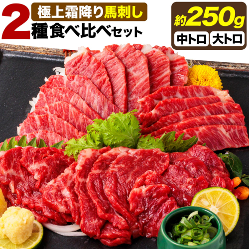 馬刺し 極上 霜降り 2種 食べ比べ セット 株式会社利他フーズ《60日以内に出荷予定(土日祝除く)》 中トロ 大トロ 国産 冷凍 生食用 肉 馬肉 ふるさと納税馬刺し 熊本県 津奈木町 送料無料 馬刺 ばさし 名物 2707535 - 熊本県津奈木町