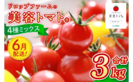 【6月配送】ドロップファームの美容トマトおまかせ3kg箱(４種ミックス）【とまと フルーツトマト 野菜ソムリエ 朝採れ アイコ イエローアイコ 小鈴 フルティカ 野菜 フレッシュ リコピン 大容量 茨城県 水戸市】（CK-101-6）