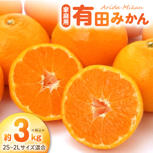 《2026年11月中旬～2027年1月中旬頃に順次発送予定》【2026年先行予約】ご家庭用有田みかん箱込み約3kg_AN6117 2707773 - 和歌山県湯浅町
