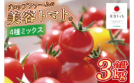 【10月中旬より順次発送】ドロップファームの美容トマトおまかせ3kg箱(４種ミックス）【とまと フルーツトマト 野菜ソムリエ 朝採れ アイコ イエローアイコ 小鈴 フルティカ 野菜 フレッシュ リコピン 大容量 茨城県 水戸市】（CK-101）