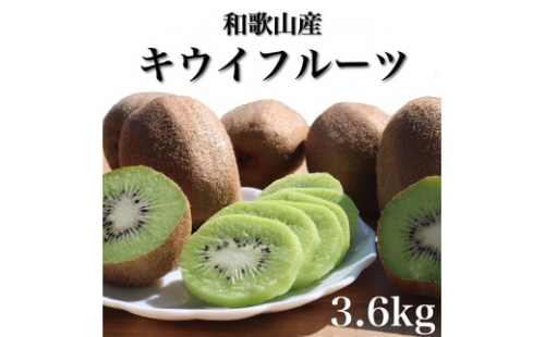 ［先行受付］［まごころ手選別］和歌山産 キウイフルーツ 約3.6kg 秀品［US70］ 2707912 - 和歌山県那智勝浦町