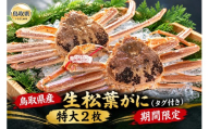 鳥取県産　生松葉がに（タグ付き）特大２枚【期間限定】_T2600500　