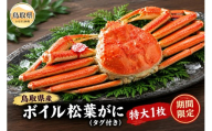 鳥取県産　ボイル松葉がに（タグ付き）特大１枚【期間限定】_T2600498