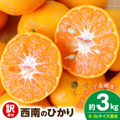 【2026年先行予約】《訳あり 家庭用》西南のひかり 約3kg（S～2Lサイズ混合）_EQ6007 2708204 - 和歌山県湯浅町