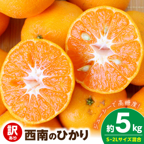 【2026年先行予約】《訳あり 家庭用》西南のひかり 約5kg（S～2Lサイズ混合）_EQ6008 2708206 - 和歌山県湯浅町