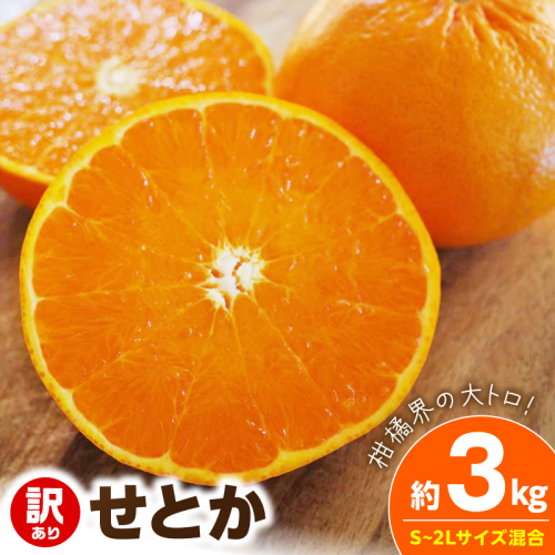【2027年先行予約】《訳あり 家庭用》せとか 約3kg（S～2Lサイズ混合）_EQ6001 2708209 - 和歌山県湯浅町