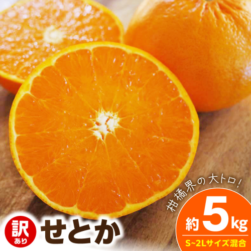 【2027年先行予約】《訳あり 家庭用》せとか 約5kg（S～2Lサイズ混合）_EQ6002 2708210 - 和歌山県湯浅町