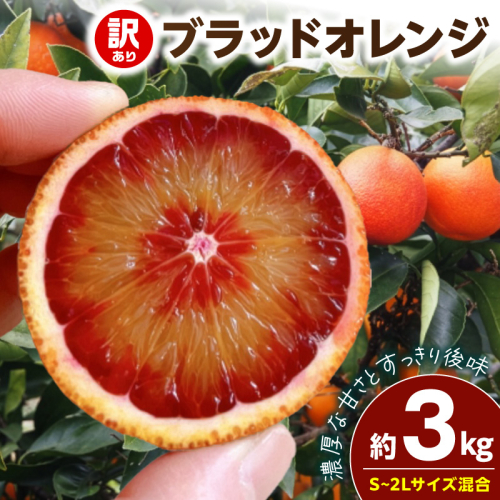 【2027年先行予約】《訳あり 家庭用》ブラッドオレンジ 約3kg（S～2Lサイズ混合）_EQ6011 2708211 - 和歌山県湯浅町