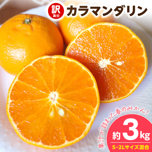 【2027年先行予約】《訳あり 家庭用》カラマンダリン 約3kg（S～2Lサイズ混合）_EQ6005 2708214 - 和歌山県湯浅町