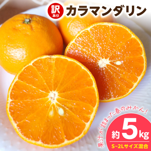 【2027年先行予約】《訳あり 家庭用》カラマンダリン 約5kg（S～2Lサイズ混合）_EQ6006 2708216 - 和歌山県湯浅町