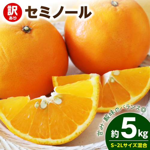 【2027年先行予約】《訳あり 家庭用》セミノール 約5kg（S～2Lサイズ混合）_EQ6010 2708218 - 和歌山県湯浅町