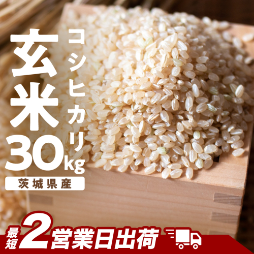 【最短2営業日出荷】 コシヒカリ 玄米 30kg 茨城県 つくばみらい市産スピード発送 お米 米 おこめ こめ コメ 30キロ こしひかり 令和7年産 大容量 玄米食 低GI [DW42-NT-sp] 2708281 - 茨城県つくばみらい市